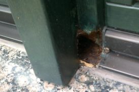 Feuchtigkeitsschaden an den Rahmenstücken einer Fensterfront
