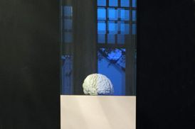 Die optimale Präsentation für Ihre schönsten Dinge